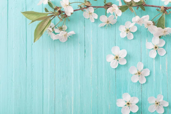 Lente Bloemen Blauwe Houten Achtergrond — Stockfoto