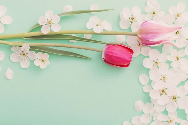 Hermosas Flores Primavera Sobre Fondo Papel — Foto de Stock