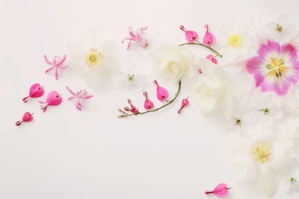 Весняні Квіти Білому Тлі — стокове фото