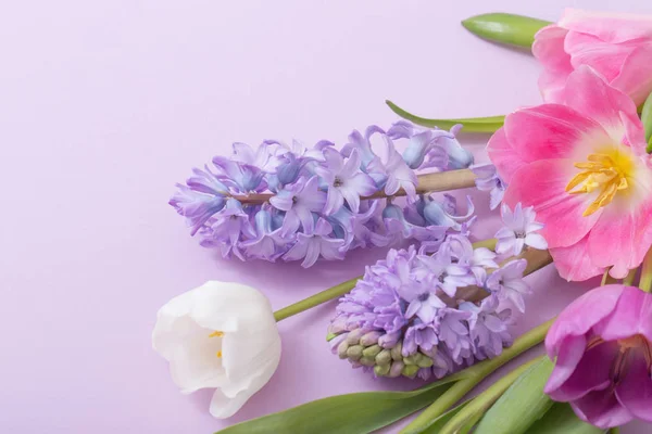 Hermosas Flores Sobre Fondo Papel — Foto de Stock