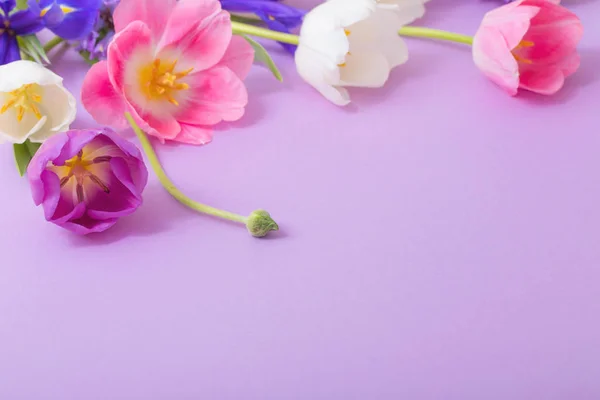 Mooie Bloemen Achtergrond Papier — Stockfoto