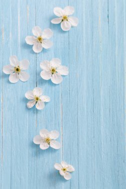 mavi ahşap arka planda bahar çiçekleri