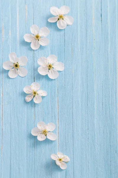 Ανοιξιάτικα Λουλούδια Μπλε Ξύλινο Φόντο — Φωτογραφία Αρχείου