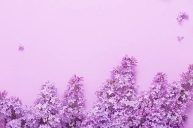 Kağıt arka plan üzerinde güzel lilak
