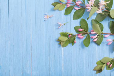 Bush ahşap arka plan üzerinde pembe çiçekli dalları