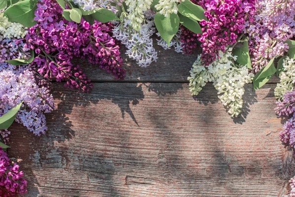 eski ahşap arka plan güneş ışığı üzerinde leylak