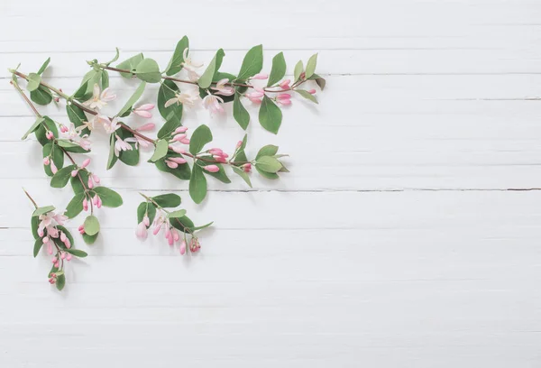 Ramas Arbusto Con Flores Color Rosa Sobre Fondo Madera —  Fotos de Stock