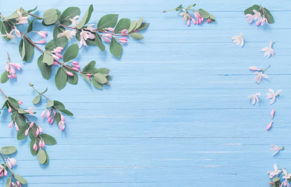 Bush ahşap arka plan üzerinde pembe çiçekli dalları