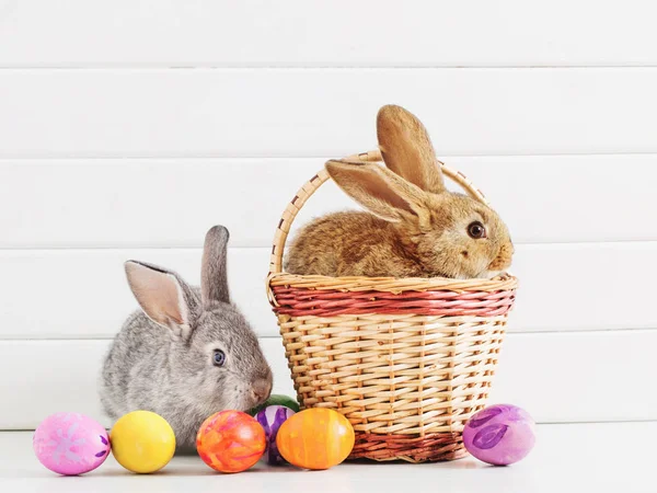 Conejito Pascua Con Huevos Sobre Fondo Blanco —  Fotos de Stock