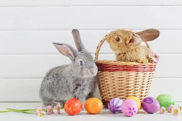 Påsk Kanin Med Ägg Vit Bakgrund — Stockfoto