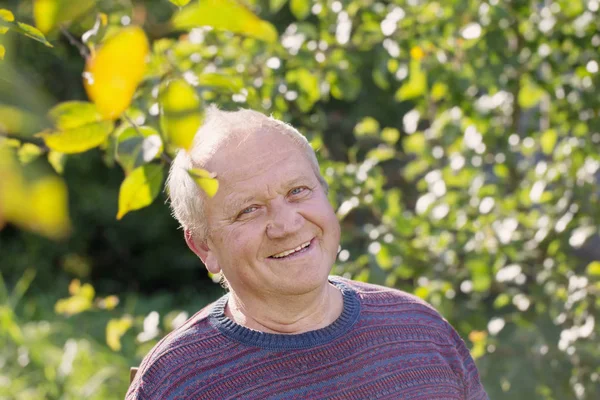Портрет Пожилого Человека Солнечном Осеннем Парке — стоковое фото