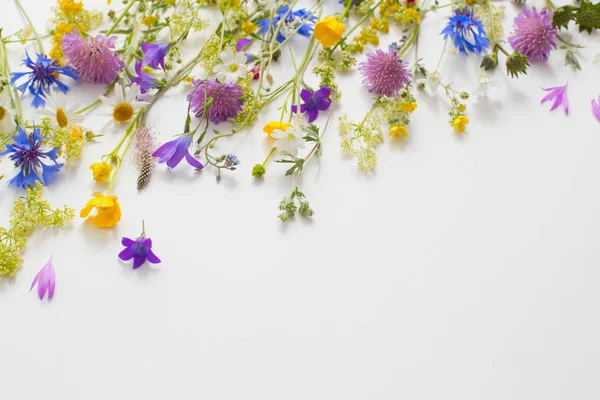 Fleurs Été Sur Fond Papier Blanc — Photo