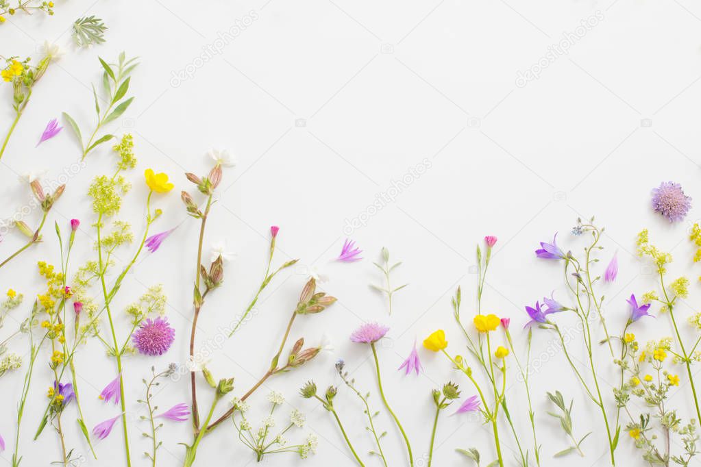 summer flowers on white paper background