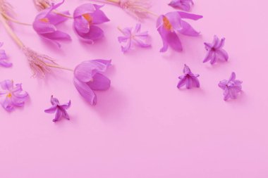 Kağıt arka plan bahar çiçekleri