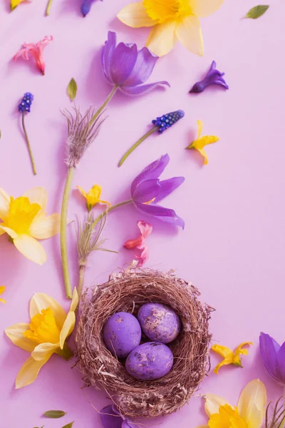 Uova Pasqua Nido Con Fiori Primaverili — Foto Stock