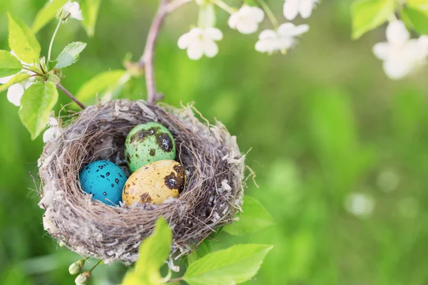 Uova Pasqua Nido All Aperto — Foto Stock