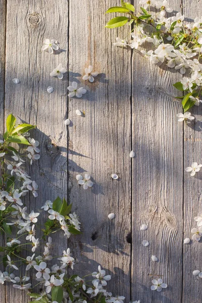Våren Blommor Gamla Trä Bakgrund — Stockfoto