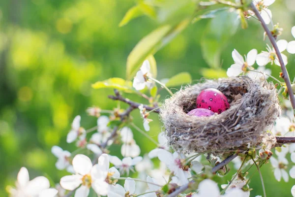 春天果园里的粉红色复活节彩蛋 — 图库照片