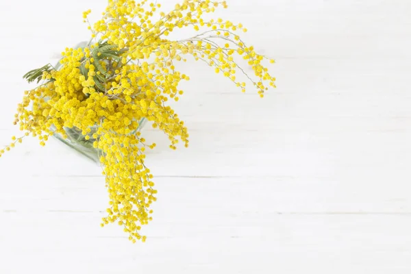 Mimose Auf Weißem Holzhintergrund — Stockfoto