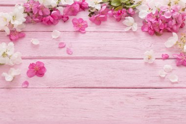 Ahşap arka plan üzerinde Apple çiçekler