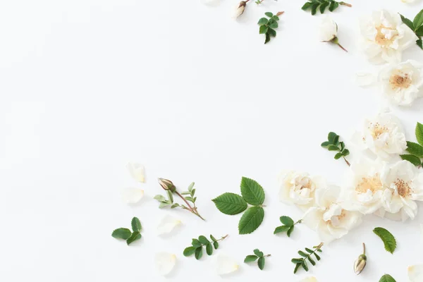 Rosen Auf Weißem Hintergrund — Stockfoto