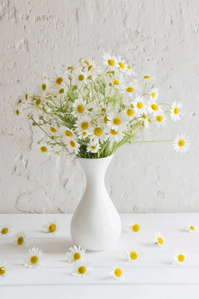 Chamomile Vase White Background — Stock Photo, Image