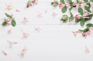 Bush ahşap arka plan üzerinde pembe çiçekli dalları