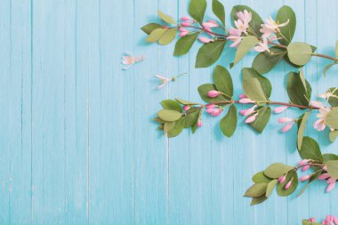 Bush ahşap arka plan üzerinde pembe çiçekli dalları