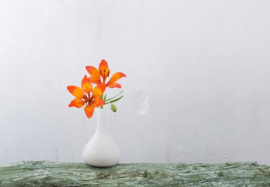 Beyaz arka plan üzerinde vazoda turuncu lily