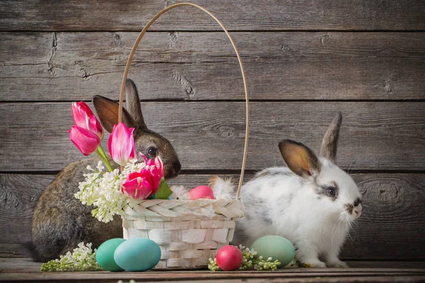 Conigli Con Uova Pasqua Sfondo Legno — Foto Stock