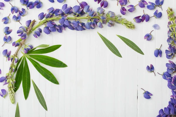 Lupine Witte Houten Achtergrond — Stockfoto