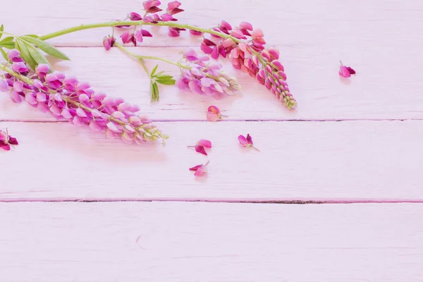 Altramuz Sobre Fondo Madera Rosa — Foto de Stock