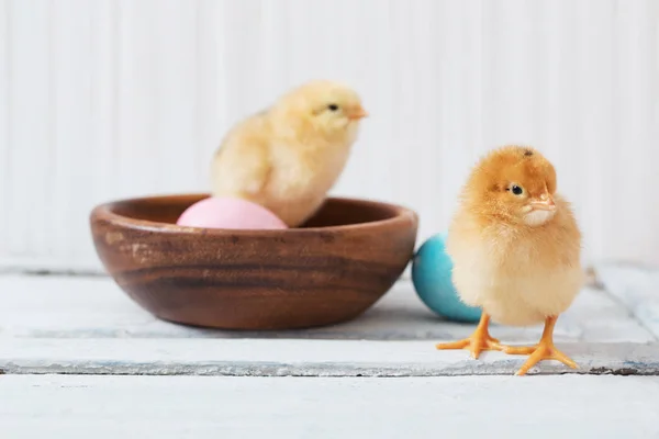 Chicken Easter Egg White Wooden Background — Stock Photo, Image