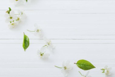 Beyaz ahşap arka planda bahar çiçekleri