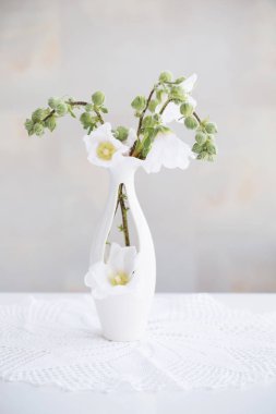 Beyaz Vazoda Çiçekler ile natürmort