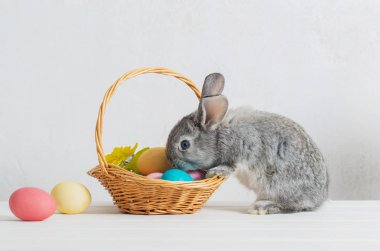 bunny Paskalya ile beyaz arka plan üzerinde yumurta