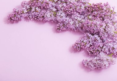 Kağıt arka plan üzerinde güzel lilak