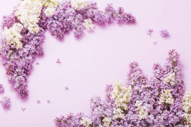 Kağıt arka plan üzerinde güzel lilak