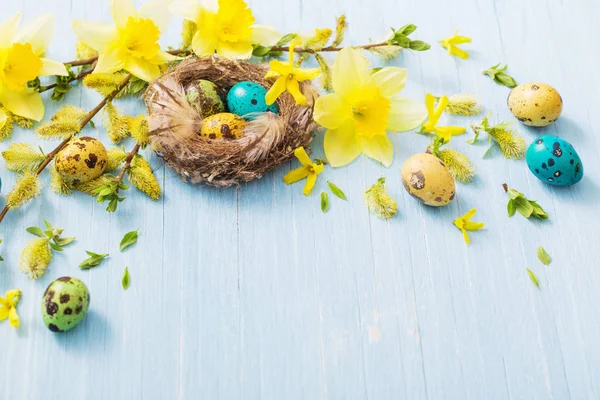 Uova Pasqua Nido Con Fiori Primaverili Sfondo Ligneo — Foto Stock