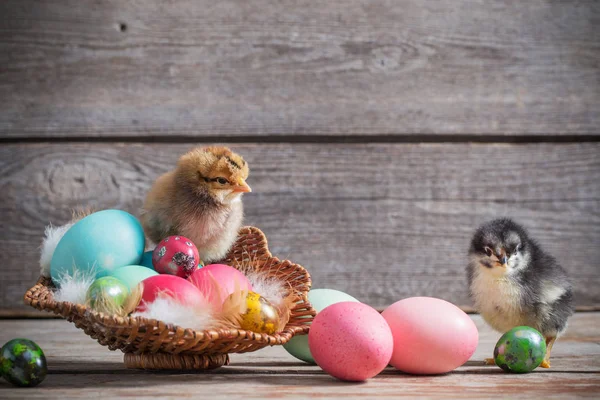 Pollo Con Uova Pasqua Sfondo Legno — Foto Stock