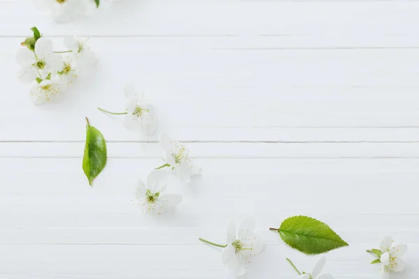 Flores Primavera Sobre Fondo Blanco Madera —  Fotos de Stock