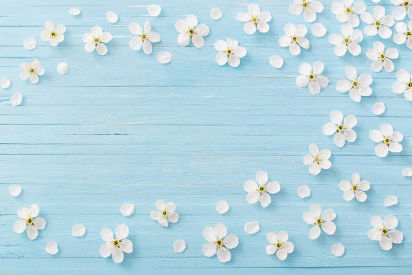 Fleurs Printemps Sur Fond Bois Bleu — Photo