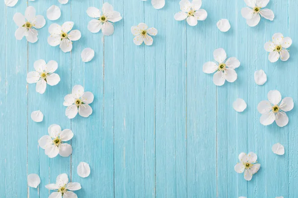 Flores Primavera Sobre Fondo Madera Azul — Foto de Stock