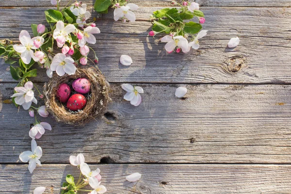 Paaseieren Nest Met Lentebloemen Oude Houten Achtergrond — Stockfoto