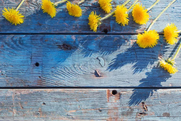 Dandelions Eski Ahşap Zemin Üzerine — Stok fotoğraf