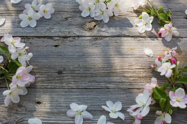 Weiße Apfelblüten Auf Altem Holzgrund — Stockfoto