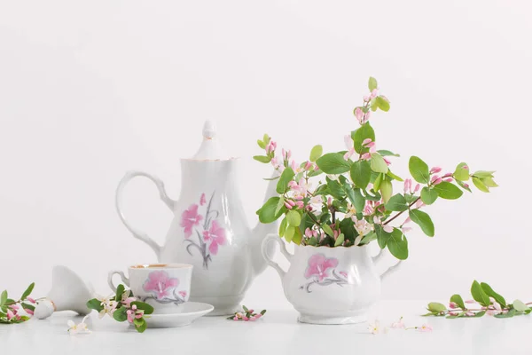 Натюрморт Розовыми Весенними Цветами — стоковое фото