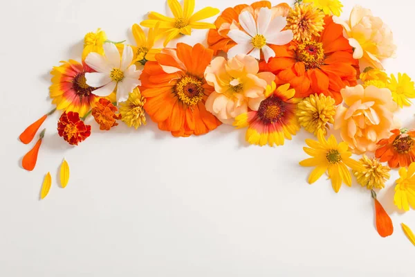 Les Fleurs Jaunes Orange Sur Fond Blanc — Photo