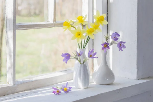 Spring Flowers Windowsill — Stock Photo, Image