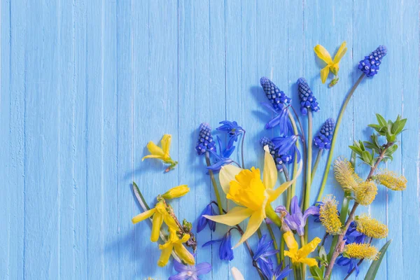 黄色和蓝色的春天花在木质背景上 — 图库照片